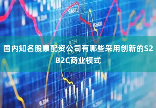 国内知名股票配资公司有哪些采用创新的S2B2C商业模式