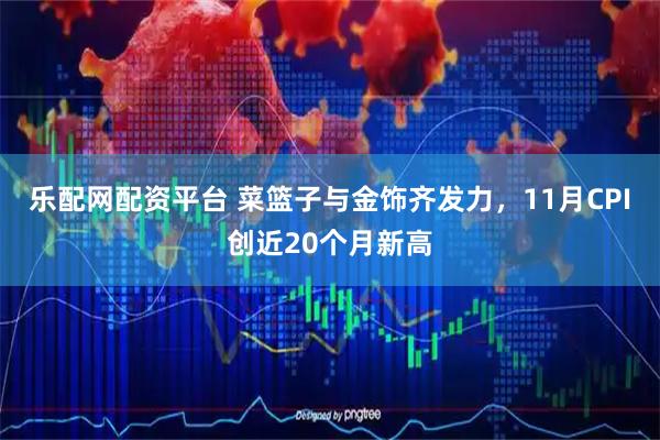 乐配网配资平台 菜篮子与金饰齐发力,11月CPI创近20个月新高