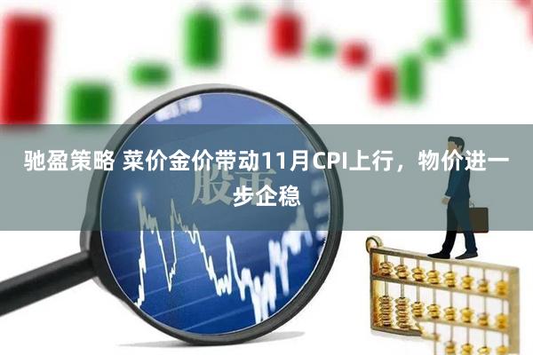 驰盈策略 菜价金价带动11月CPI上行，物价进一步企稳