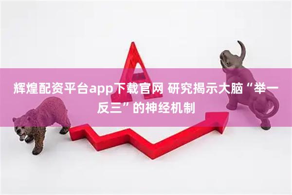 辉煌配资平台app下载官网 研究揭示大脑“举一反三”的神经机制