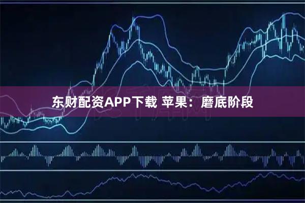 东财配资APP下载 苹果：磨底阶段